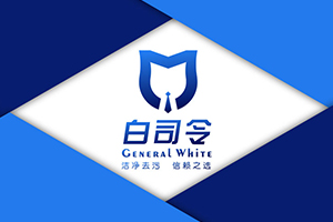 白司令洗衣片